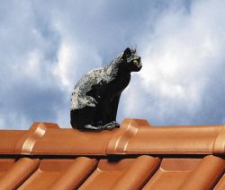 Ozdoby dachowe, sposób na urozmaicenie dachu