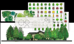 projektowanie ogrodu